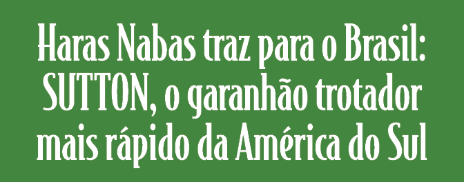 Haras Nabas traz para o Brasil: SUTTON, o garanh o trotador mais r pido da Am rica do Sul